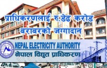 विद्युत् प्राधिकरणलाई निःशुल्क जग्गा