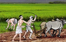 कर्णालीमा अब कृषि अनुदानको साटो ब्याजमा अनुदान