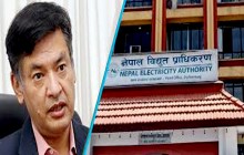 प्राधिकरणको निर्देशकमा हितेन्द्रदेव शाक्य नियुक्त