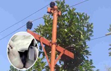 गोरखा आरुघाटमा करेन्ट लागेर एकजनाको मृत्यु